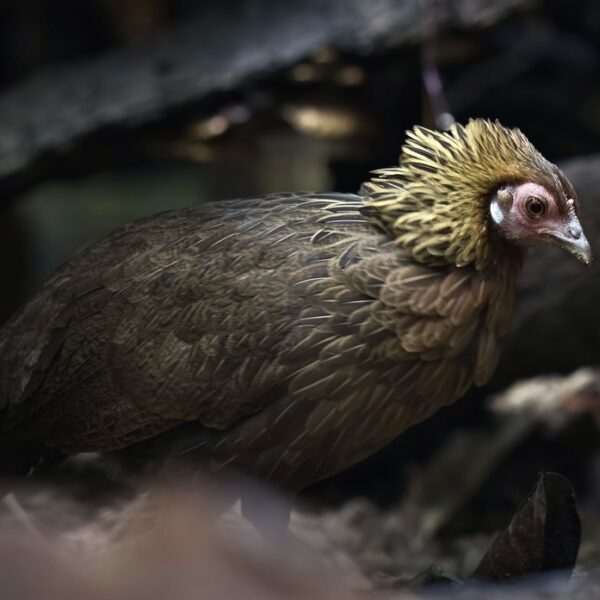 1305B484-37AB-4AB3-878D-9121C39C74EC_1_105_c