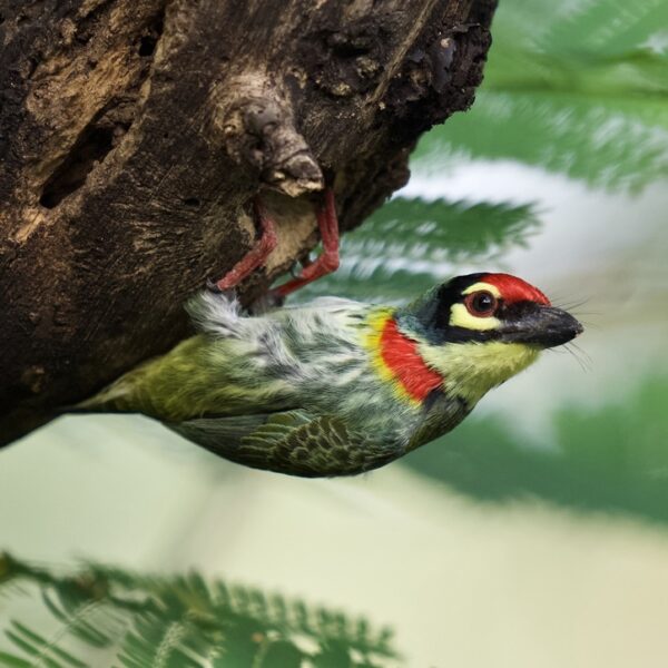 4A1E8C55-D7AB-470E-9B70-1FB53F36F10B_1_105_c