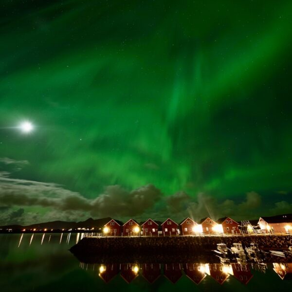 92D3A385-F315-4146-AF84-309C7F43436B_1_105_c