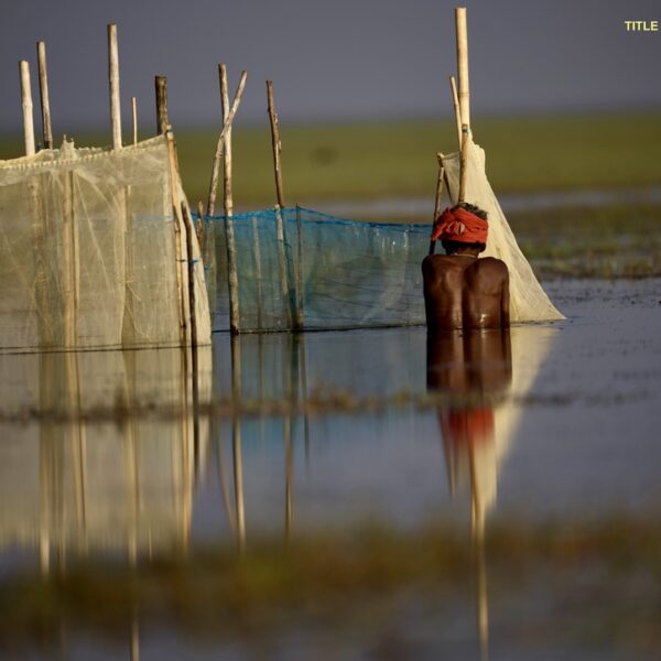 9331DB9F-2C13-4FF2-ACDC-FB2977273A18_1_105_c