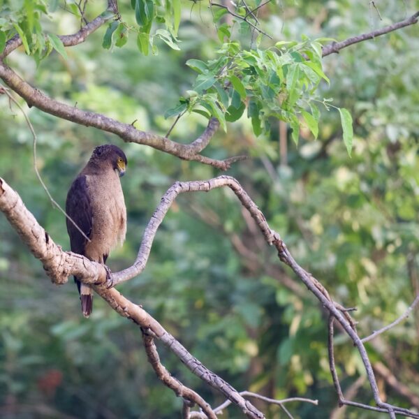 B4B52DA0-6815-4D4E-8552-3900793E9419_1_105_c