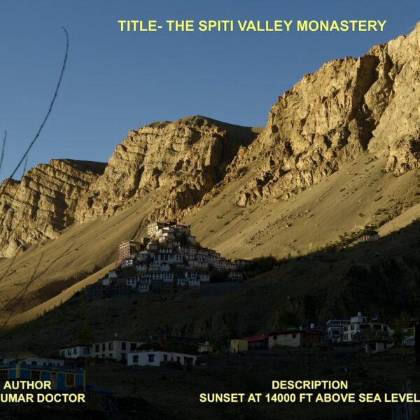 B8AD8A83-950B-4E0E-8292-3F71B55C9D83_1_201_a